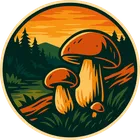 mykologicka